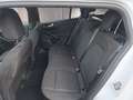 Ford Focus Turnier ST-Line 1,0 125PS Aut.LED/ACC/Navi/Kamera/ Blanc - thumbnail 13