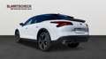 Citroen C5 X PureTech 130 EAT8 Shine Blanco - thumbnail 5