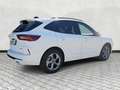 Ford Kuga 2.5 FHEV ST-Line Navi Kamera Key Free Wit - thumbnail 8