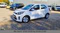 Kia Picanto Edition 7 Sitz/Lenkradheizung Weiß - thumbnail 2