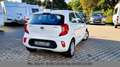 Kia Picanto Edition 7 Sitz/Lenkradheizung Weiß - thumbnail 5