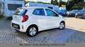 Kia Picanto Edition 7 Sitz/Lenkradheizung Weiß - thumbnail 6