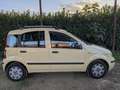 Fiat Panda Panda II 2003 1.2 Classic easypower Gpl 69cv Żółty - thumbnail 1