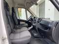 Fiat Ducato 150 L5H2 RS: 4035 mm Weiß - thumbnail 12