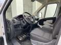 Fiat Ducato 150 L5H2 RS: 4035 mm Weiß - thumbnail 10