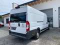 Fiat Ducato 150 L5H2 RS: 4035 mm Weiß - thumbnail 7