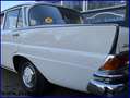 Mercedes-Benz Sonstige S 230  W111 * Bildschön * Geringe Laufleistung * Weiß - thumbnail 5