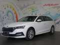 Skoda Octavia Combi 2,0 TDI Style DSG *LED, NAVI, RFK, AHK* Weiß - thumbnail 3