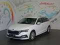 Skoda Octavia Combi 2,0 TDI Style DSG *LED, NAVI, RFK, AHK* Weiß - thumbnail 20