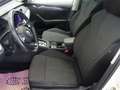 Skoda Octavia Combi 2,0 TDI Style DSG *LED, NAVI, RFK, AHK* Weiß - thumbnail 6