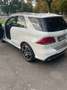Mercedes-Benz GLE 350 GLE 350 d 4Matic Aut. Austria Edition Austria Edition Weiß - thumbnail 7