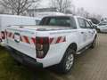 Ford Ranger Doppelkabine 4x4 Wildtrak Blanco - thumbnail 15