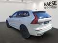 Volvo XC60 B5 AWD Benzin Plus Black Edition MY26/Facelift Weiß - thumbnail 7