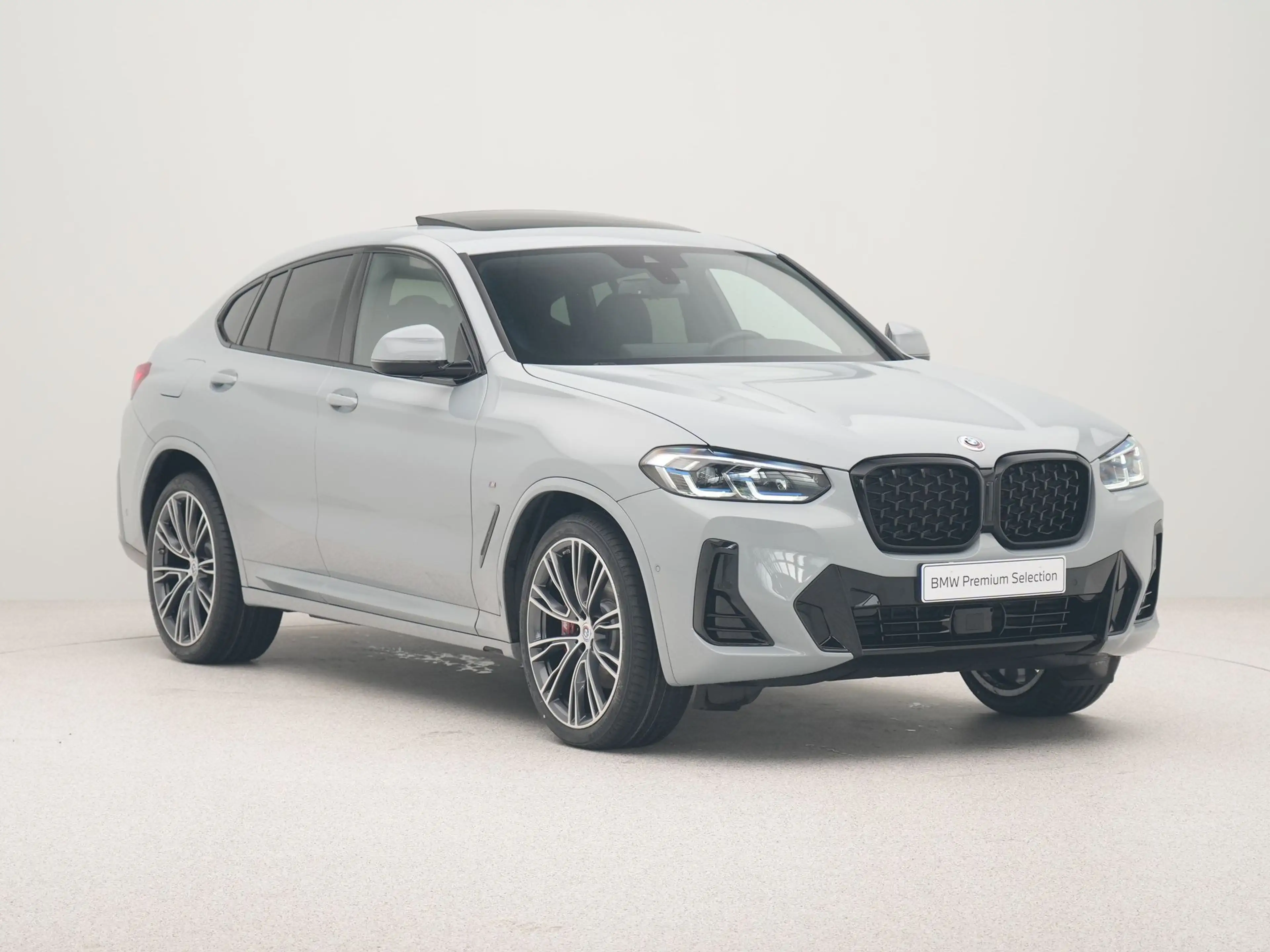 BMW X4 xDrive20i Business Edition Plus — photo 6