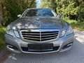 Mercedes-Benz E 220 E 220 CDI Aut.BlueEfficiency Avantgarde (212.002) Grau - thumbnail 1