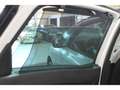Renault Scenic Scenic 1.6 Energy dCi - 160 - BV EDC  IV MONOSPACE Blanc - thumbnail 19
