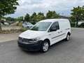 Volkswagen Caddy Maxi 2.0TDI 4Motion DSG*Klima*Xenon*Kamera*1.Hd* Weiß - thumbnail 1