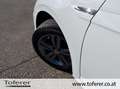 Volkswagen Polo Comfortline TSI OPF Weiß - thumbnail 36
