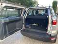 Ford EcoSport 1.0 EcoBoost 100 CV Plus Grigio - thumbnail 11
