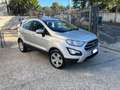 Ford EcoSport 1.0 EcoBoost 100 CV Plus Grigio - thumbnail 8