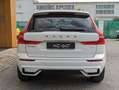 Volvo XC60 T6 Plug-in hybrid AWD automatico Ultra Dark Bianco - thumbnail 7