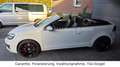 Volkswagen Golf Cabrio GTI *Garantie*DSG*Navi*AHK* Weiß - thumbnail 6