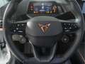 CUPRA Born 62kWh AR-HUD/PANO/W-Pumpe/NAV/Tech-L/RFK Weiß - thumbnail 15