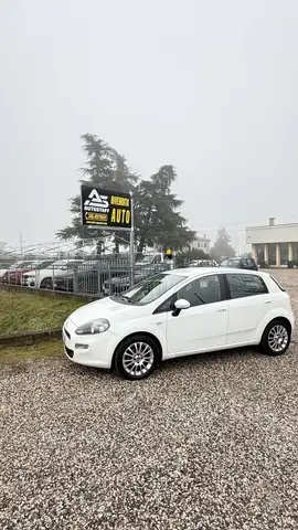 Fiat Punto 5p 1.2 16v ELX speedgear