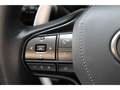 Lexus LC 500 V8 Convertible Performance Automaat Grijs - thumbnail 26