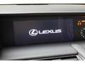 Lexus LC 500 V8 Convertible Performance Automaat Gris - thumbnail 22