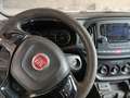 Iveco Daily DAILY 60 C 15 FRIGO Blanc - thumbnail 12