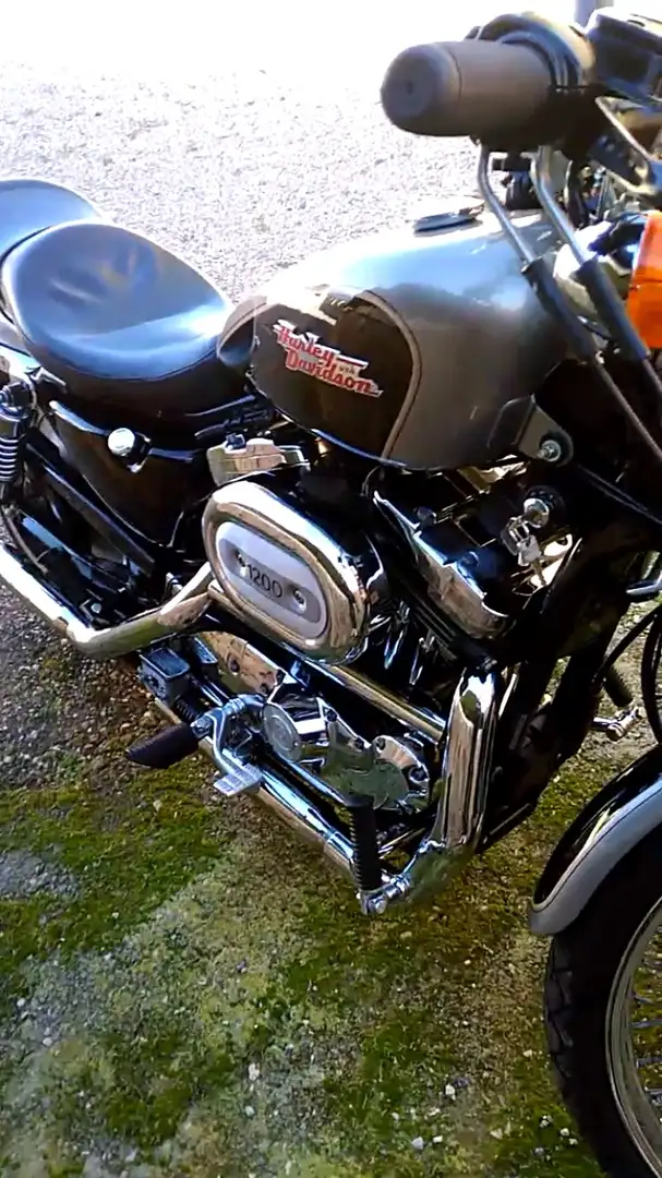 Harley-Davidson Sportster 1200 De Serie Gris - 1
