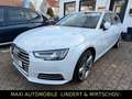Audi A4 Avant SPORT AUT-NAV-LED-LEDER-PANOR-KAM-HEUP Bianco - thumbnail 2
