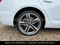 Audi A4 Avant SPORT AUT-NAV-LED-LEDER-PANOR-KAM-HEUP Bianco - thumbnail 5