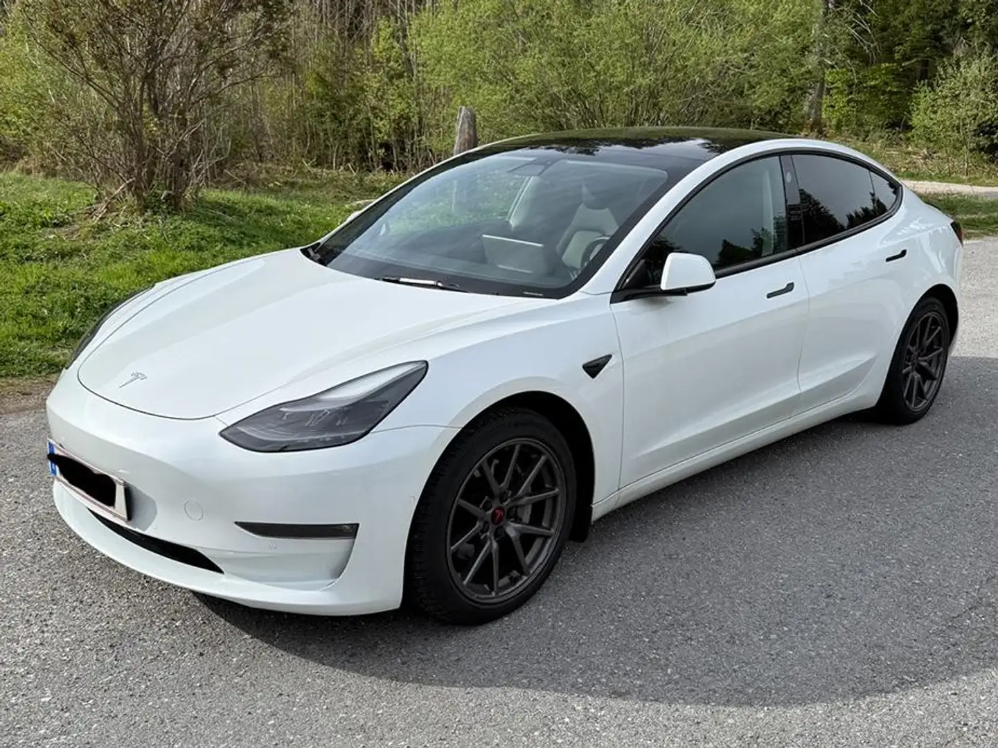 Tesla Model 3 Model 3 Long Range AWD 75kWh + Anhängerkupplung + Winterreifens Weiß - 1
