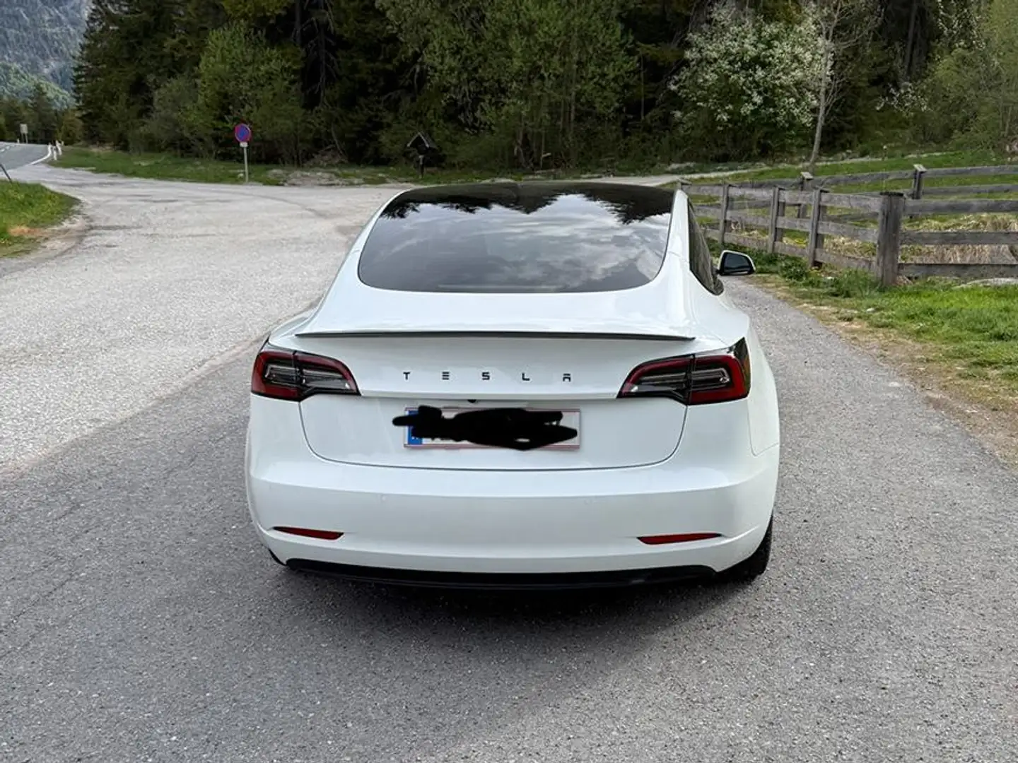 Tesla Model 3 Model 3 Long Range AWD 75kWh + Anhängerkupplung + Winterreifens Weiß - 2