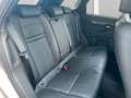 Land Rover Range Rover Evoque P300 R-Dynamic Leder Navi Pano. Head-Up  RFK ACC Braun - thumbnail 10