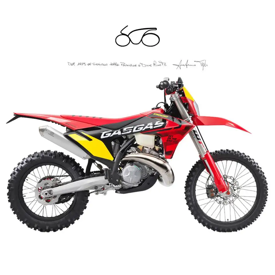 Gas Gas EC 300