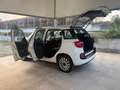 Fiat 500L 1.3 Multijet 85 CV OK NEOPATENTATI FARI FENDI Blanco - thumbnail 46