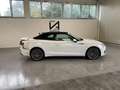 Audi A5 CABRIO 2.0 TDI 190CV QUATTRO S TRONIC SPORT Bianco - thumbnail 8