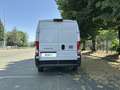 Fiat Ducato 33Q MH2 140CV 2.2 Multijet 3 E6E Blanco - thumbnail 4