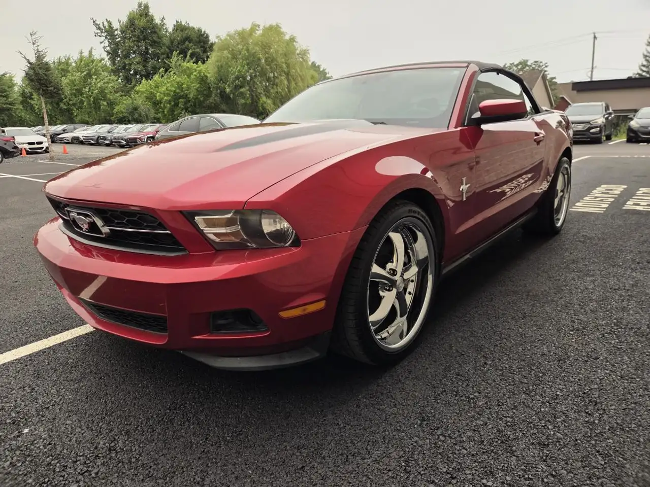 Ford Mustang fotografie Ford Mustang