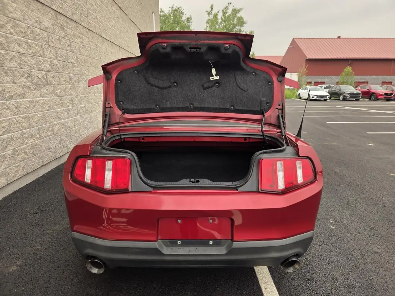 Ford Mustang fotografie Ford Mustang