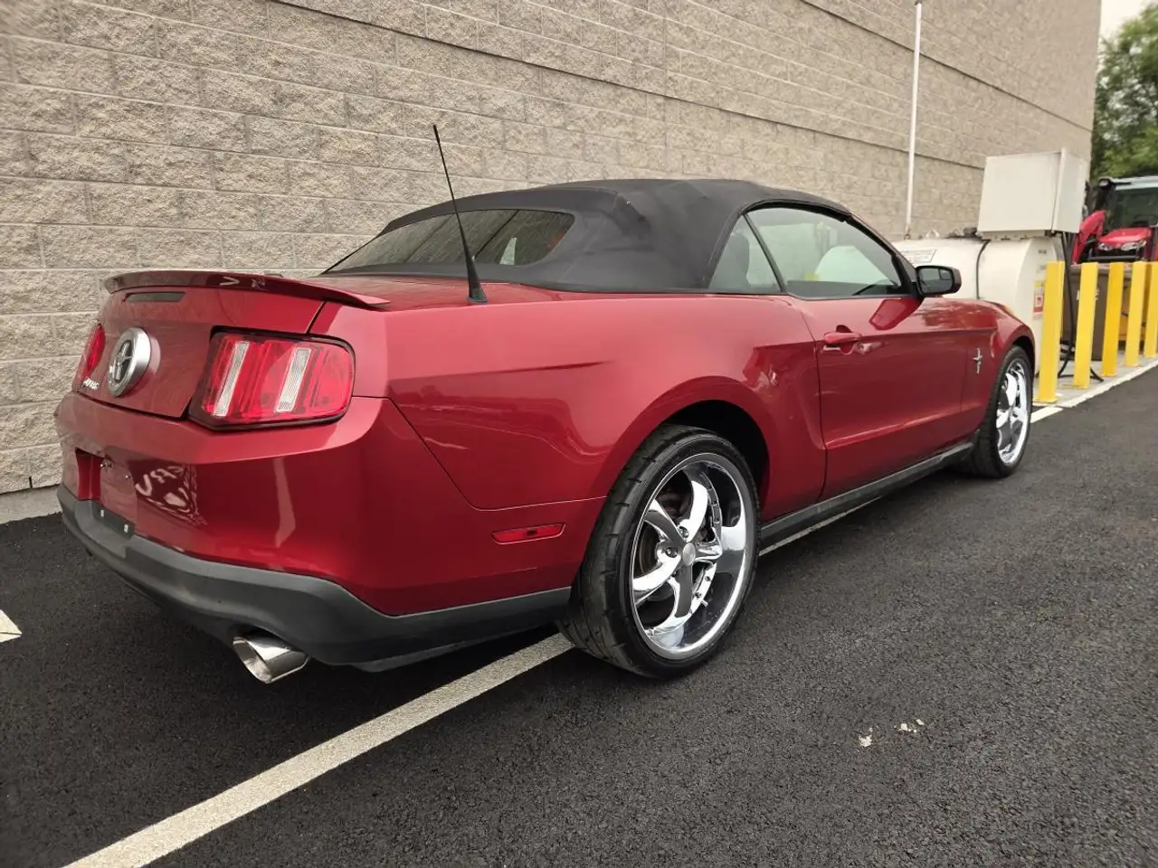 Ford Mustang fotografie Ford Mustang