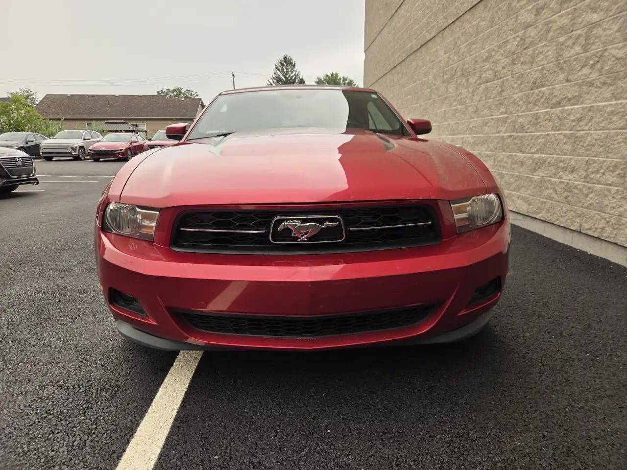 Ford Mustang fotografie Ford Mustang