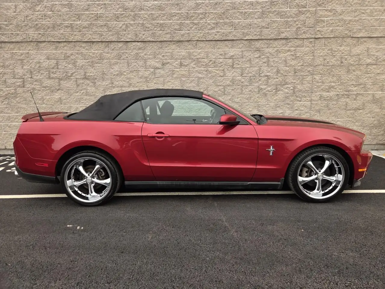 Ford Mustang fotografie Ford Mustang