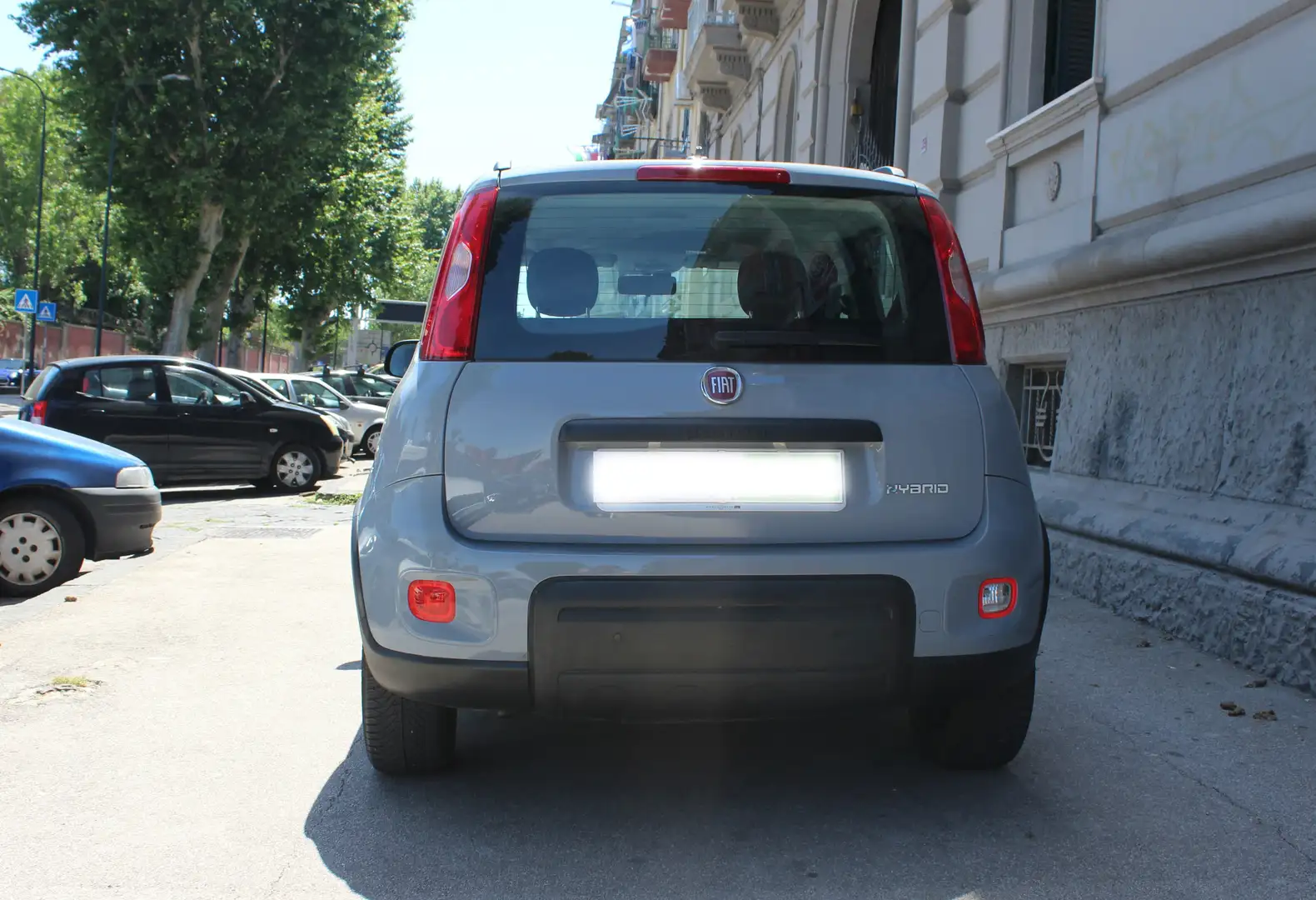 Fiat Panda 1.0 70 CV FIREFLY HYBRID SPORT Grigio - 2