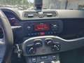 Fiat Panda 1.0 70 CV FIREFLY HYBRID SPORT Grigio - thumbnail 11