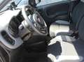 Fiat Panda 1.0 70 CV FIREFLY HYBRID SPORT Grigio - thumbnail 15
