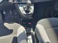 Fiat Panda 1.0 70 CV FIREFLY HYBRID SPORT Grigio - thumbnail 9